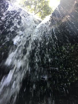 石垣島 ADVENTURE PiPi（イシガキジマアドベンチャーピピ）に投稿された画像（2019/7/14）