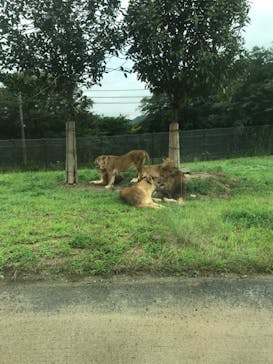 姫路セントラルパークに投稿された画像（2019/7/14）