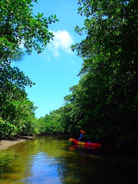石垣島 ADVENTURE PiPi（イシガキジマアドベンチャーピピ）に投稿された画像（2019/7/14）