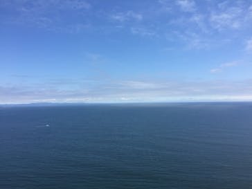 松島熱気球・パラグライダー体験に投稿された画像（2019/7/15）