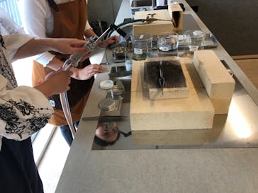 MITUBACI TOKYO 本店に投稿された画像（2019/7/16）