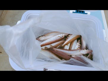 船釣り船上バーベキュー崎っぽ料理松新に投稿された画像（2019/7/16）