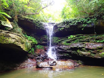 石垣島 ADVENTURE PiPi（イシガキジマアドベンチャーピピ）に投稿された画像（2019/7/18）