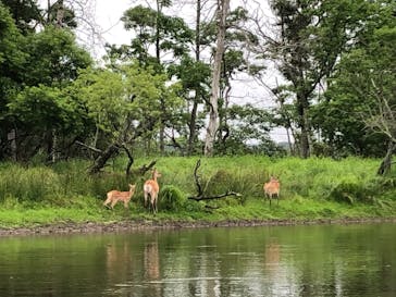 レイクサイドとうろに投稿された画像（2019/7/19）