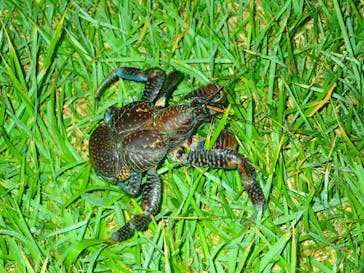 石垣島 ADVENTURE PiPi（イシガキジマアドベンチャーピピ）に投稿された画像（2019/7/19）