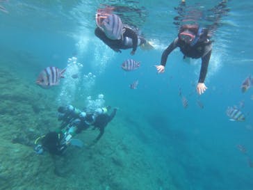 武藤潜水に投稿された画像（2019/7/20）