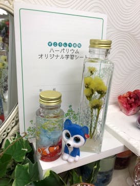 ずこうしつ〜sugamo〜に投稿された画像（2019/7/21）