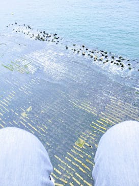 松島熱気球・パラグライダー体験に投稿された画像（2019/7/21）