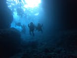 diving&workshop IHANASHI（ダイビングアンドワークショップイハナシ）に投稿された画像（2019/7/21）
