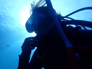 ダイビングショップ Sea Free（シーフリー）に投稿された画像（2019/7/22）