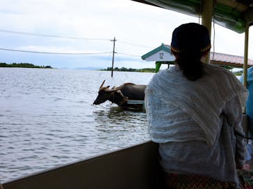 石垣島 ADVENTURE PiPi（イシガキジマアドベンチャーピピ）に投稿された画像（2019/7/22）