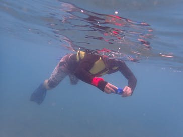 沖ノ島ダイビングサービスマリンスノーに投稿された画像（2019/7/22）