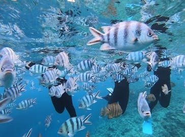 青の洞窟専門店　沖縄ダイビングショップ和に投稿された画像（2019/7/22）