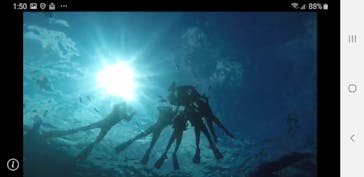 武藤潜水に投稿された画像（2019/7/23）