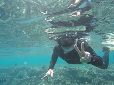 武藤潜水に投稿された画像（2019/7/23）