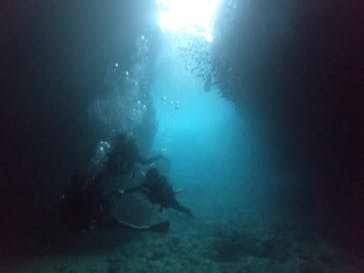 武藤潜水に投稿された画像（2019/7/23）