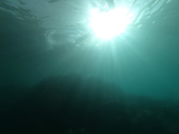 武藤潜水に投稿された画像（2019/7/23）