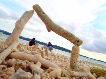 西表島 ADVENTURE PiPi（アドベンチャーピピ）に投稿された画像（2019/7/26）