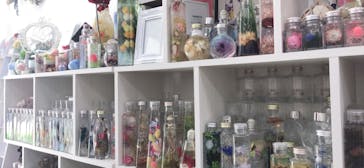 ずこうしつ〜sugamo〜に投稿された画像（2019/7/27）