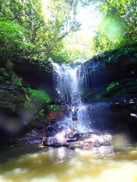 西表島 ADVENTURE PiPi（アドベンチャーピピ）に投稿された画像（2019/7/28）