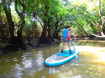 西表島 ADVENTURE PiPi（アドベンチャーピピ）に投稿された画像（2019/7/28）