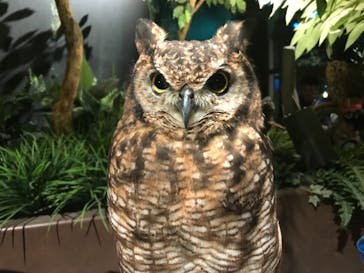 オービィ横浜に投稿された画像（2019/7/28）