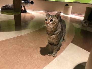 オービィ横浜に投稿された画像（2019/7/28）