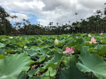 おきなわワールドに投稿された画像（2019/7/29）