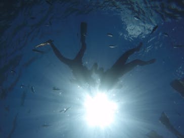 武藤潜水に投稿された画像（2019/7/30）