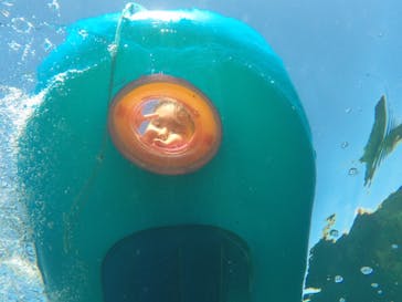 武藤潜水に投稿された画像（2019/7/29）