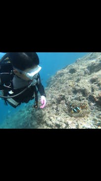 武藤潜水に投稿された画像（2019/7/29）