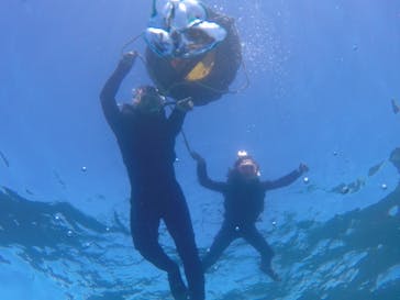 武藤潜水に投稿された画像（2019/7/29）