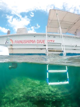 南ぬ島DIVESITEに投稿された画像（2019/7/31）