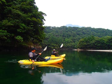屋久島ガイドクラブに投稿された画像（2019/8/1）