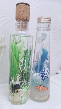 ずこうしつ〜sugamo〜に投稿された画像（2019/8/2）