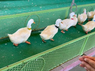 別府ケーブルラクテンチに投稿された画像（2019/8/2）