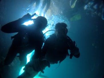 武藤潜水に投稿された画像（2019/8/2）