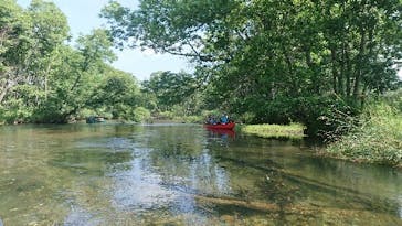 Matatabi（マタタビ）に投稿された画像（2019/8/3）