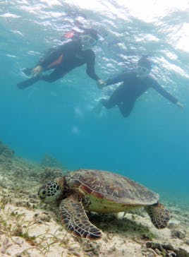 アマミエンシスに投稿された画像（2019/8/3）