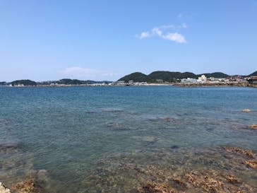 葉山ダイビングサービスに投稿された画像（2019/8/4）