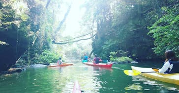 カヌーリゾートたまよどに投稿された画像（2019/8/4）