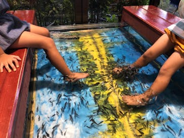 おきなわワールドに投稿された画像（2019/8/5）