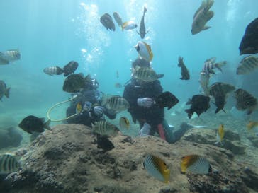 武藤潜水に投稿された画像（2019/8/5）