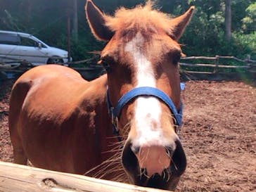 クリオステーブルに投稿された画像（2019/8/5）