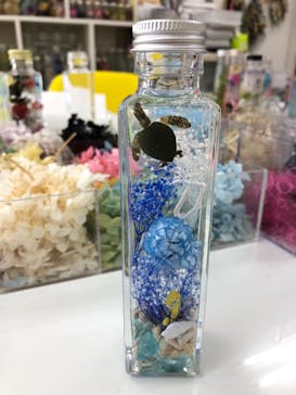 ずこうしつ〜sugamo〜に投稿された画像（2019/8/6）