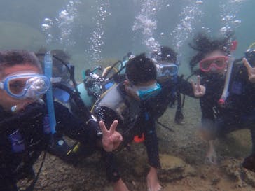 ダイビングショップ Sea Free（シーフリー）に投稿された画像（2019/8/7）