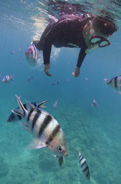 初心者専門店NEOMARINE石垣島に投稿された画像（2019/8/9）