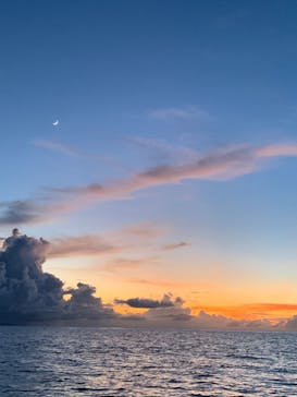 初心者専門店NEOMARINE石垣島に投稿された画像（2019/8/9）