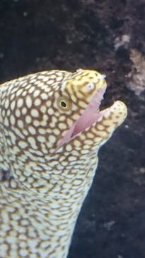 NIFREL（ニフレル）に投稿された画像（2019/8/10）