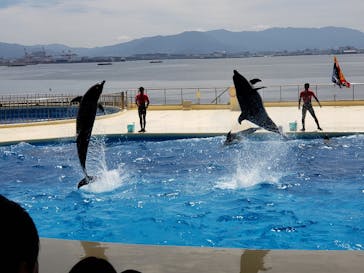 マリンワールド海の中道に投稿された画像（2019/8/10）